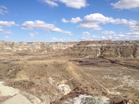 Dinosaur Provincial Park, where real dinosaur fossils were found by yours truly