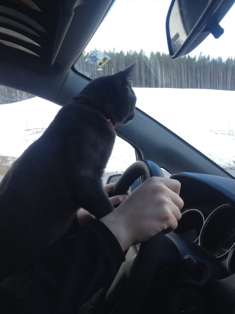 Mav got really excited about BC and took over driving for a bit